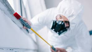 Best Commercial Pest Control  in Bradley Beach, NJ